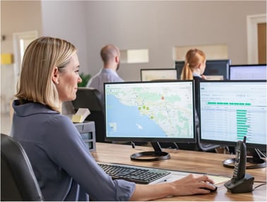 Enterprise software integration