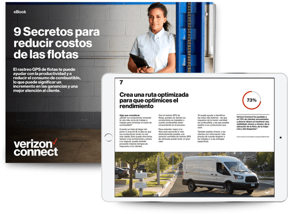 9 Secretos para reducir costos de las flotas