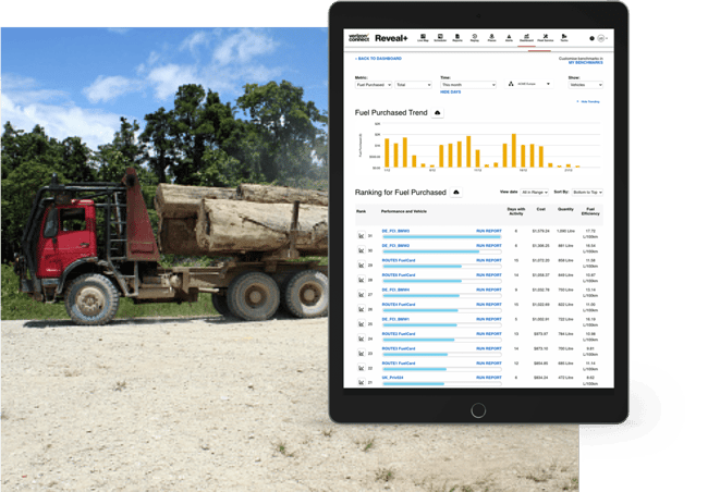 Fuel Tax Reporting Software Verizon Connect Australia